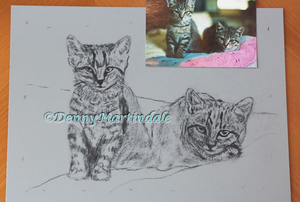 Caum Kittens Drawing-Denny Martindale